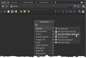 shop_ArnoldShaderNetwork