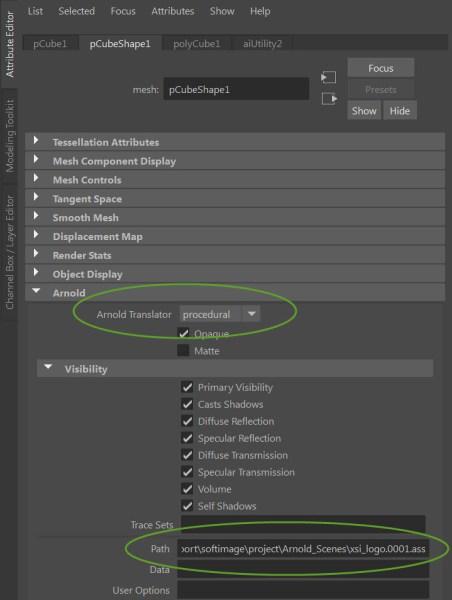 arnold_translator_procedural